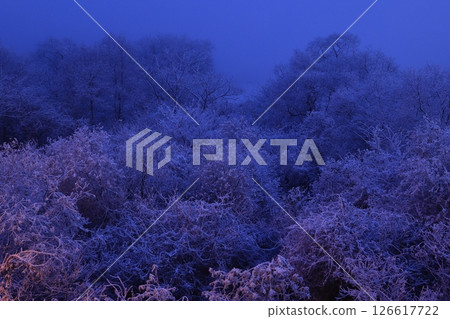 Kitakami City, Iwate Prefecture Winter scenery of the Kitakami River Kitakami City, Iwate Prefecture Winter scenery of the Kitakami River 126617722