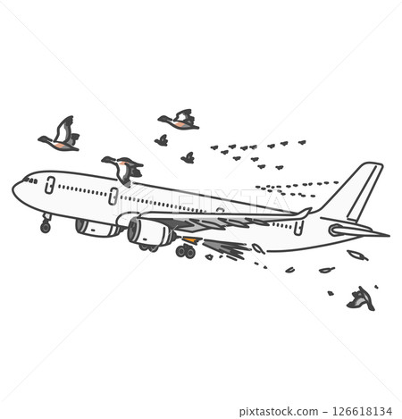 Stock Illustration: Aviation accident / bird strike! Collision between an international passenger plane and a migratory bird Stock Illustration: Aviation accident / bird strike! Collision between an international passenger plane and a migratory bird 126618134