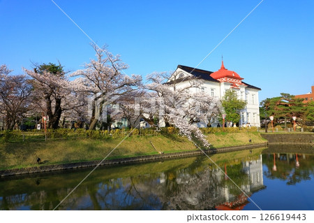 鶴岡公園：櫻花盛開 126619443