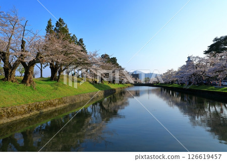 Tsuruoka Park: Cherry blossoms in full bloom 126619457