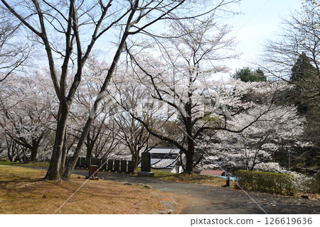 Takanezawa Genki Up Village Roadside Station #31 126619636