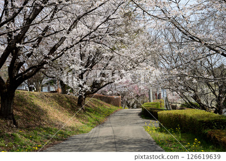 Takanezawa Genki Up Village Roadside Station #34 126619639
