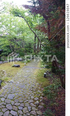 A quiet garden 126619847