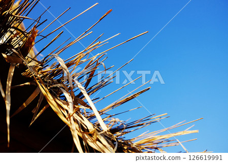 Close up eaves of a dry thatched roof of tradition house with sunny and blue sky in Thailand 126619991