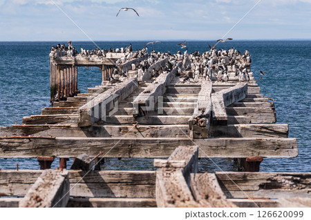 Old Pier in Punta Arenas 126620099