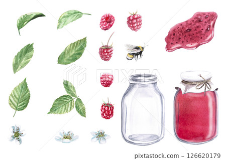 Set of leaves, berries, flowers of raspberry. Isolated watercolor illustration in realistic style for design of packages with berry juice, printing on fabric and clothes Set of leaves, berries, flowers of raspberry. Isolated watercolor illustration in realistic style for design of packages with berry juice, printing on fabric and clothes 126620179