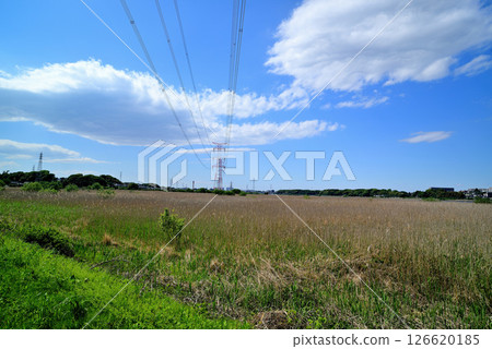 Overhead power lines and towers along Lake Teganuma in Chiba Prefecture Overhead power lines and towers along Lake Teganuma in Chiba Prefecture 126620185