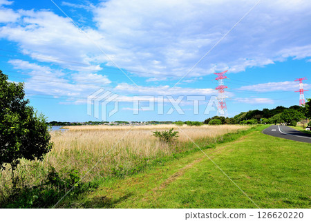 Overhead power lines and towers along Lake Teganuma in Chiba Prefecture Overhead power lines and towers along Lake Teganuma in Chiba Prefecture 126620220