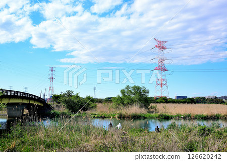 Overhead power lines and towers along Lake Teganuma in Chiba Prefecture 126620242