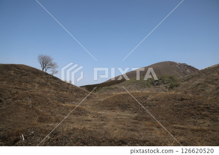 March 25 2025 Expansive Rocky Landscape Under Clear Sky and Open Surroundings, Japan 126620520
