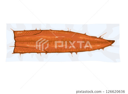 Vacuum-packed grilled eel illustration 126620636