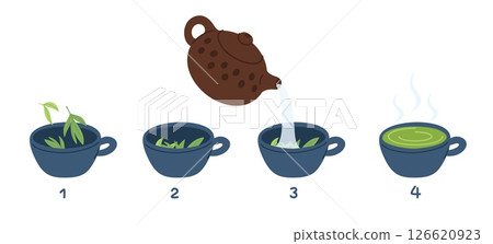 Steps green tea brewing from pouring hot drink into cups and boiling water from kettle. Chinese ceremony. Traditional beverage preparation stages process. Vector cooking instruction Steps green tea brewing from pouring hot drink into cups and boiling water from kettle. Chinese ceremony. Traditional beverage preparation stages process. Vector cooking instruction 126620923