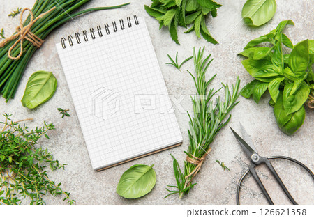 Fresh herbs and notepad lying on gray table for recipes or menu planning 126621358
