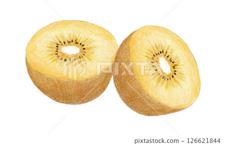 Colored pencil drawing of half-cut Sungold kiwifruit 126621844
