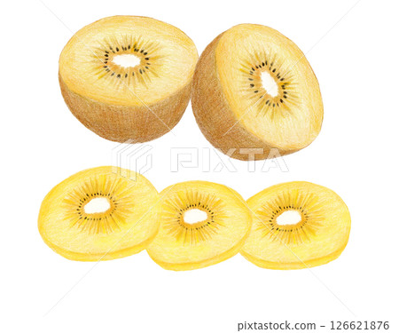 Colored pencil drawing of a sungold kiwi fruit sliced and half cut 126621876