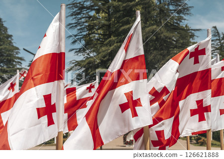 Georgian National Flag Waving in the Wind 126621888
