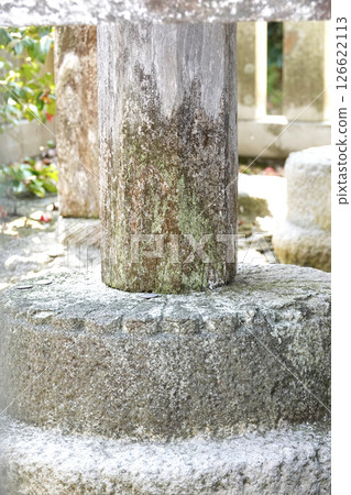 The Kikuzaishi stone is a foundation stone supporting the main hall of the Shirato Shrine in Tottori Prefecture, and is carved with chrysanthemums. The Kikuzaishi stone is a foundation stone supporting the main hall of the Shirato Shrine in Tottori Prefecture, and is carved with chrysanthemums. 126622113