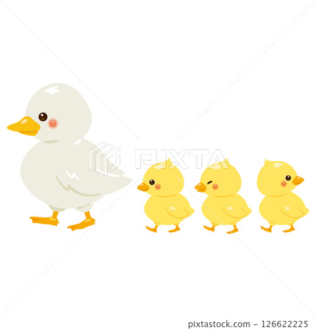 側鴨親子插畫 126622225
