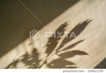 牆壁 牆 底圖 126622295