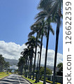 一條維護良好的熱帶公路，兩旁種滿了棕櫚樹。沿著這條路行駛，就能讓你精神煥發。 126622359