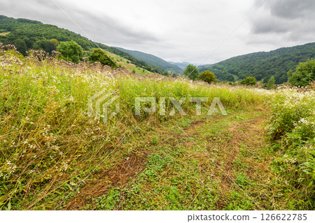 mountainous countryside on a cloudy day. grassy alpine slope. landscape with rural hay field on hill near the forest. village in the distant valley 126622785