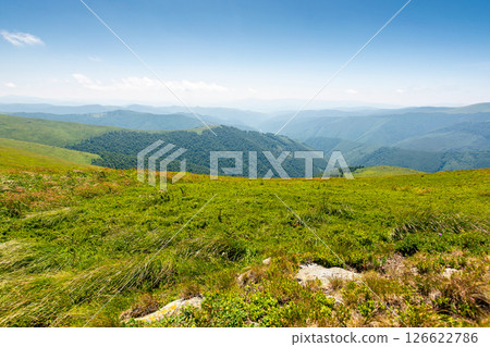 green meadow in mountain with clouds on the sky. vacation season. nature landscape of ukraine carpathians in summer. great travel scenery of transcarpathia. scenic view of hills rolling in to horizon 126622786