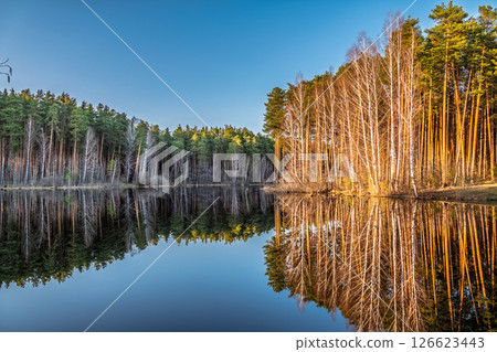 Calm lake with green trees on the shore and a beautiful reflection. Summer landscape. Calm lake with green trees on the shore and a beautiful reflection. Summer landscape. 126623443