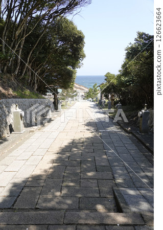 Shirato Coast as seen from the approach to Shirato Shrine in Tottori Prefecture 126623664