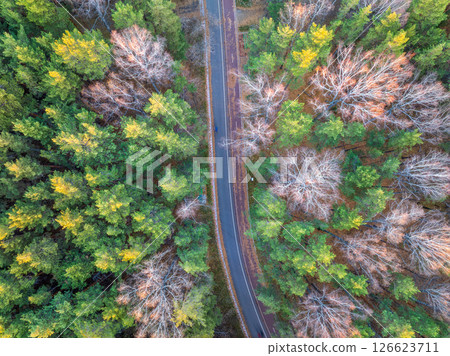 Aerial view of road in beautiful autumn forest at sunset. Beautiful landscape with empty rural road, trees with red and orange leaves. Aerial view of road in beautiful autumn forest at sunset. Beautiful landscape with empty rural road, trees with red and orange leaves. 126623711