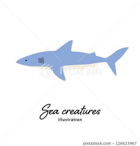 鯊魚簡單插圖 126623967