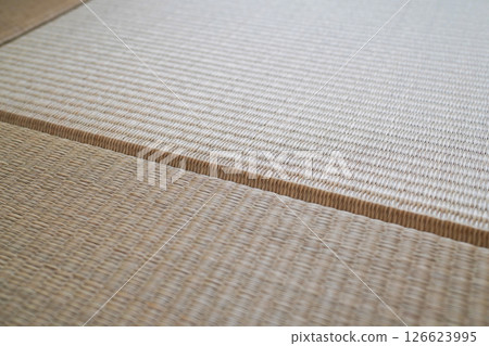 Close-up of the fine tatami mats in a Japanese-style room Close-up of the fine tatami mats in a Japanese-style room 126623995