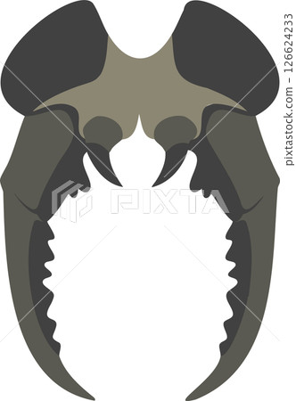 Saber-Toothed Fangs Silhouette - Prehistoric Predator Jaw Saber-Toothed Fangs Silhouette - Prehistoric Predator Jaw 126624233