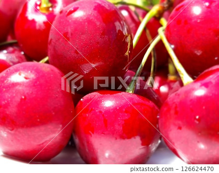 Fresh Ripe Cherries On A Background Fresh Ripe Cherries On A Background 126624470