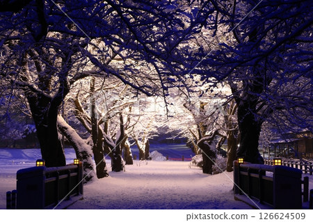 岩手縣北上市：冬季夜景 126624509