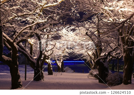 岩手縣北上市：冬季夜景 126624510