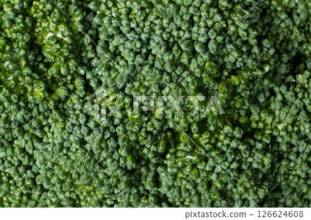 Vibrant Green Broccoli Head Close-Up with Rich Detail. 126624608
