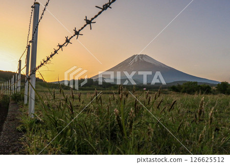 Mount Fuji  126625512