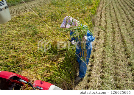 Harvesting and weeding Harvesting and weeding 126625695