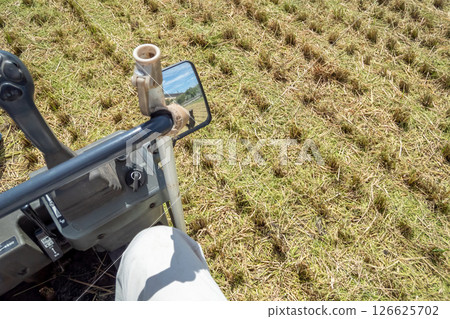 從聯合收割機的駕駛座觀看水稻收割 126625702