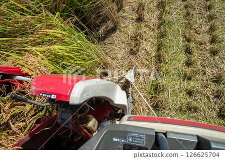 從聯合收割機駕駛艙觀賞水稻收割 從聯合收割機駕駛艙觀賞水稻收割 126625704