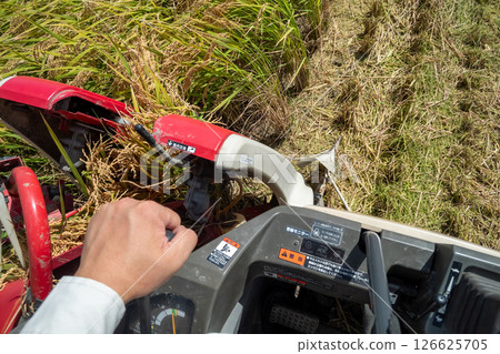從聯合收割機駕駛艙觀賞水稻收割 126625705