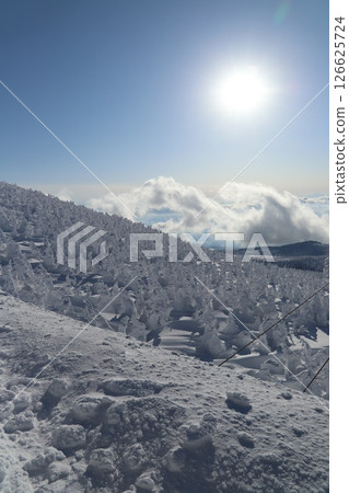 藏王山雪景 藏王山雪景 126625724
