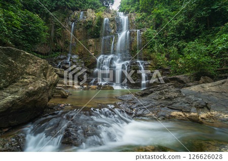 forest, waterfall, river 126626028