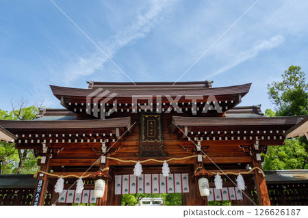 初夏的神戶湊川神社境內,綠意盎然 初夏的神戶湊川神社境內,綠意盎然 126626187