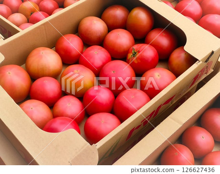 Boxed fresh tomatoes Boxed fresh tomatoes 126627436