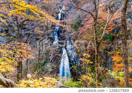 Gunma Autumn leaves at Konakao Falls Gunma Autumn leaves at Konakao Falls 126627989