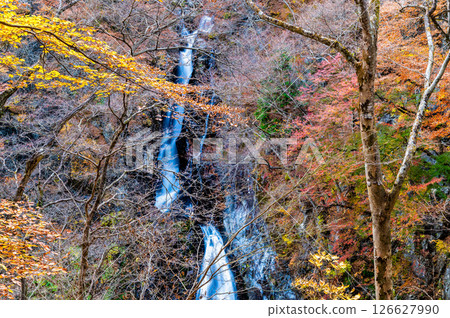 Gunma Autumn leaves at Konakao Falls 126627990