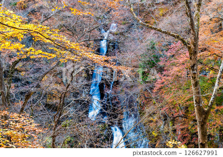 群馬縣小名湯瀑布的紅葉 126627991