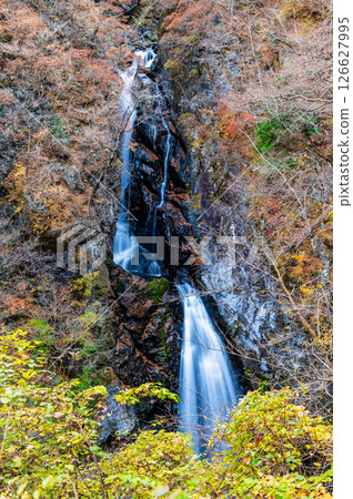 Gunma Autumn leaves at Konakao Falls 126627995