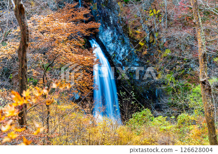 群馬縣小名湯瀑布的紅葉 群馬縣小名湯瀑布的紅葉 126628004